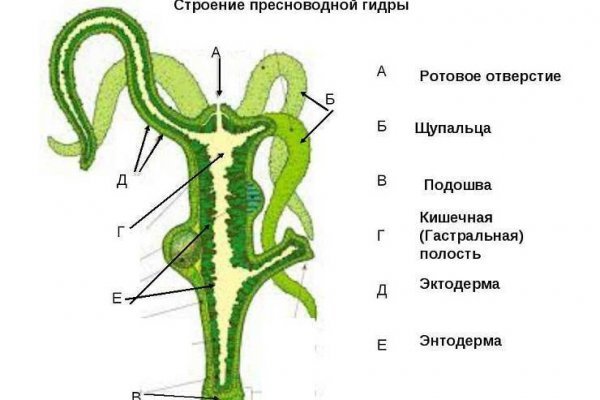 Кракен купить меф