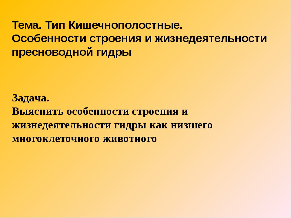 Кракен перейти