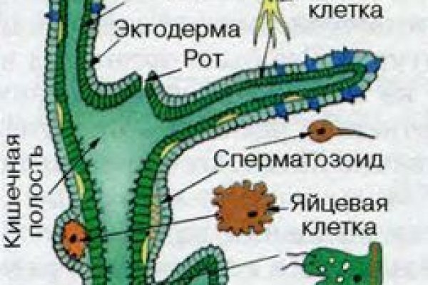 Кракен маркетплейс krk market com
