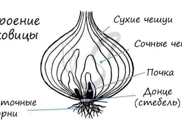 Kraken17 at сайт