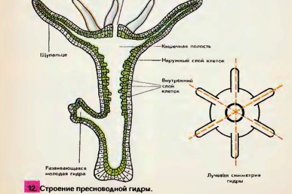 Как зайти на кракен kr2web in